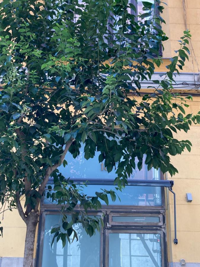 Ferienwohnung Luxury, Private Wellness In Prado Museum New Aug21 Madrid Exterior foto